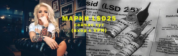 крисы Майский